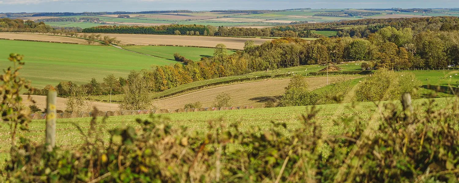 Yorkshire wolds landscape view